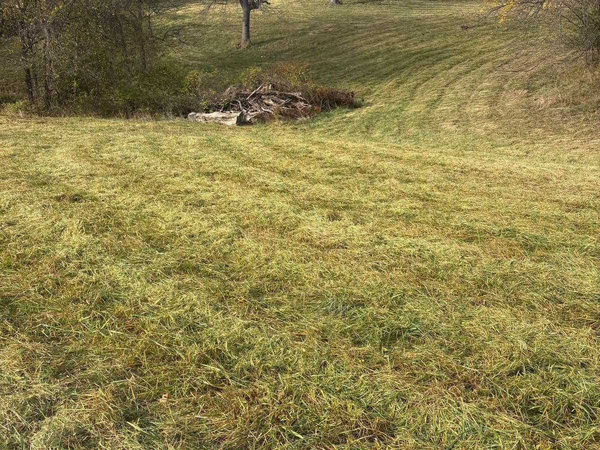 The same overgrown lot before clearing and after being cut back to open, mowable ground